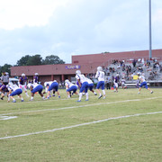 IMG-0252