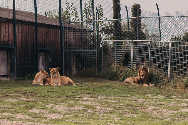 IMG-2104