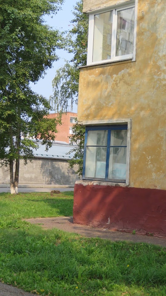 IMG-2046