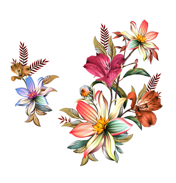 d687305d896802d1b380ac8be56c72bc.png