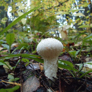 DSC00172