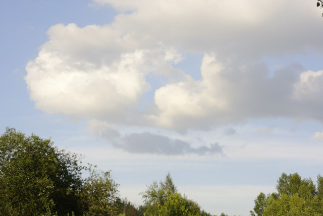 DSC5330-result.jpg