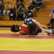 IMG-0241