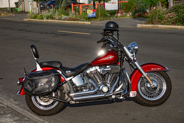 DSC00689.jpg