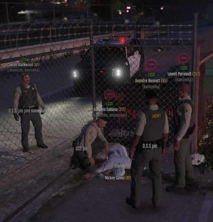 ss6.jpg