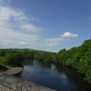 DSCF7956