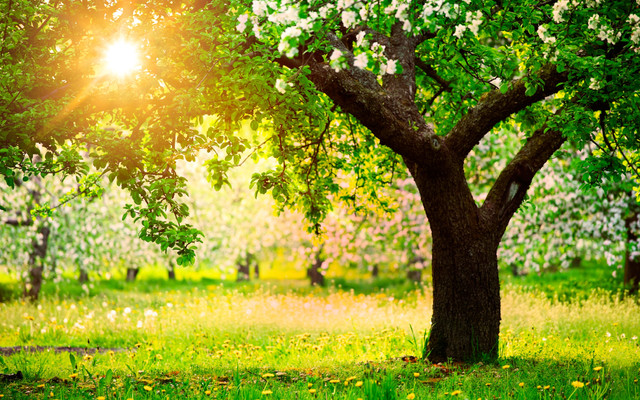 spring-065