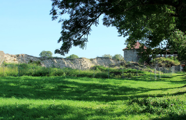 IMG-1743