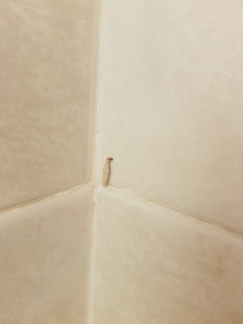 20180809 021309