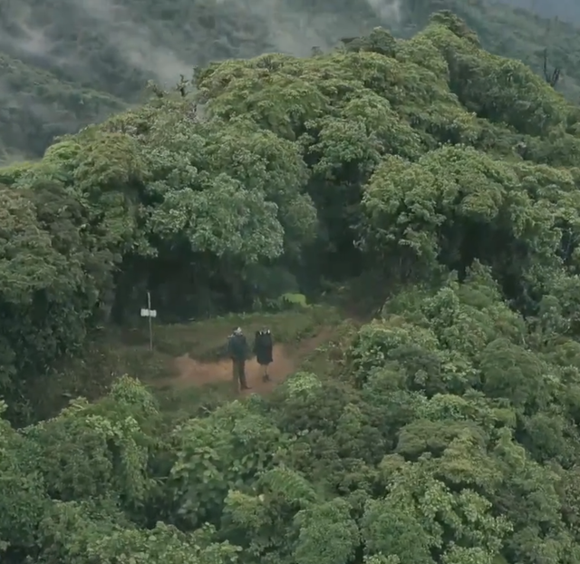 Mirador