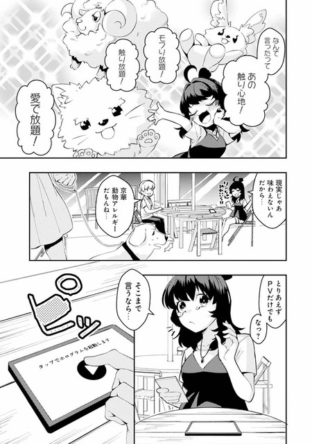 DLRAW-NET-009