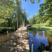 IMG-2320