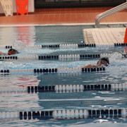 IMG-9654