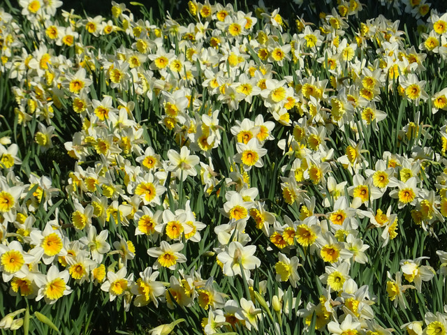 DSC00301.jpg