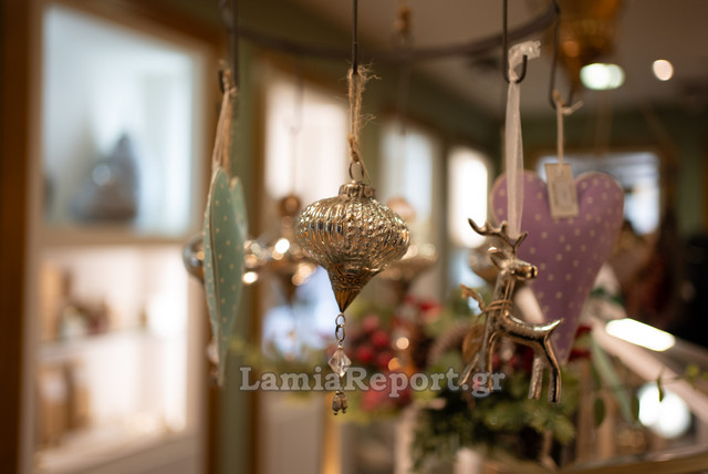 the-dandelion-project-17