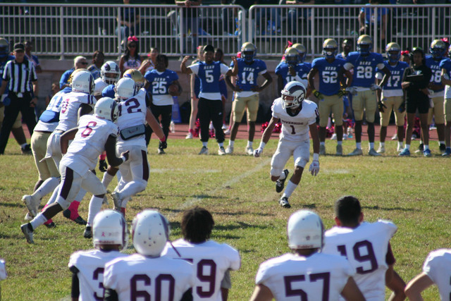 IMG-1205.jpg