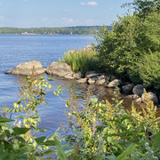 IMG-3035