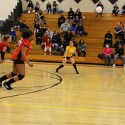 IMG-0261