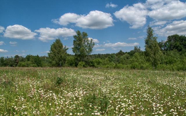 spring-092