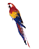 junglebird4.gif