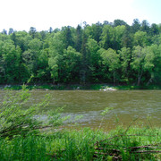DSC04690