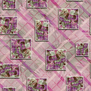 shutterstock 2437902819