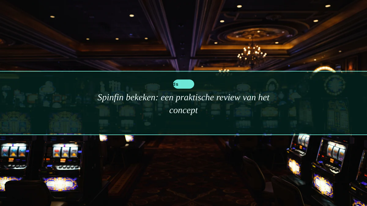 Spinfin bekeken: een praktische review van het concept