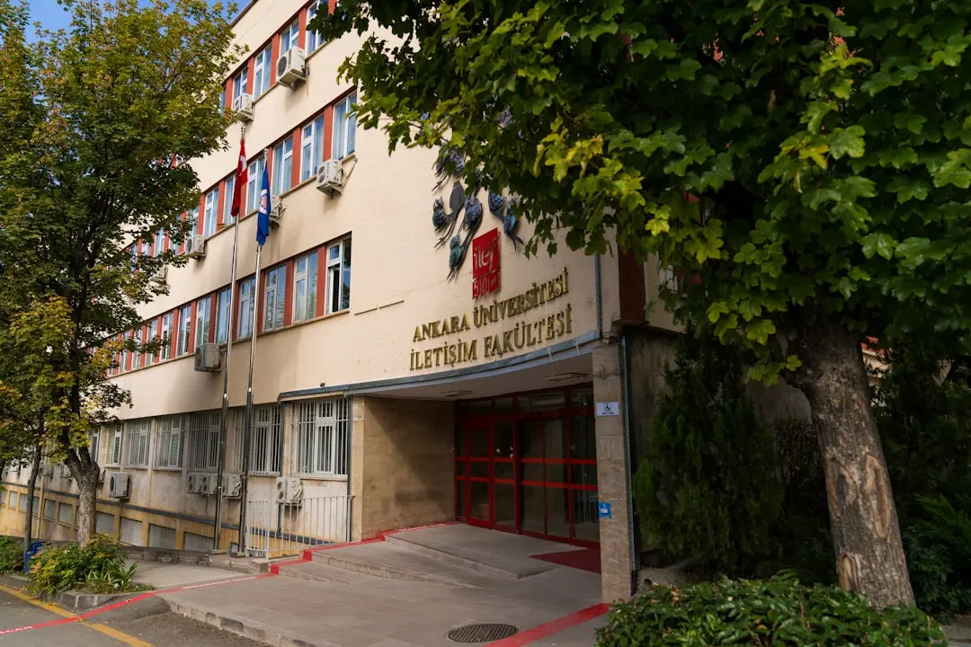 O alternativă distractivă la casele de turtă dulce pentru copii