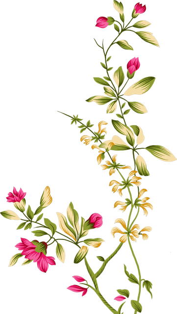 c39c18b3e106dc9653a3d33ca145b1e5.png