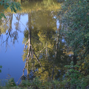 DSC 0948