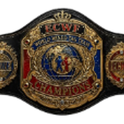 World Mixed Tag Team