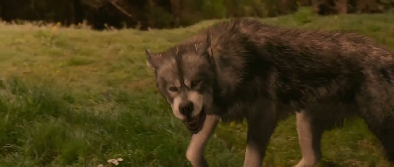 The Chronicles of Narnia: The Lion, the Witch and the Wardrobe Screenshot