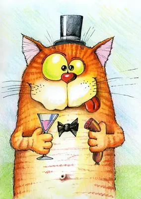 2026-08-09-sg-cat.webp