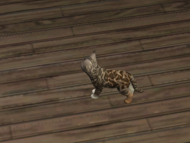 Screenshot-472
