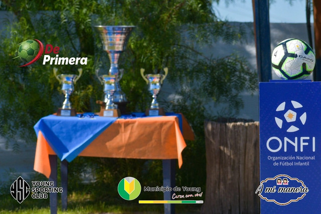 Finales copa baby