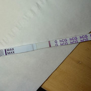 IMG-4075.jpg