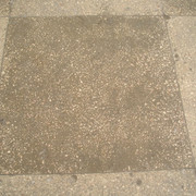 P1010006