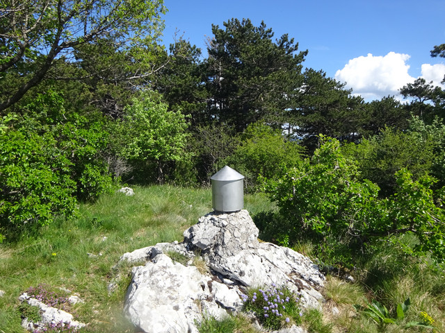 DSC04884