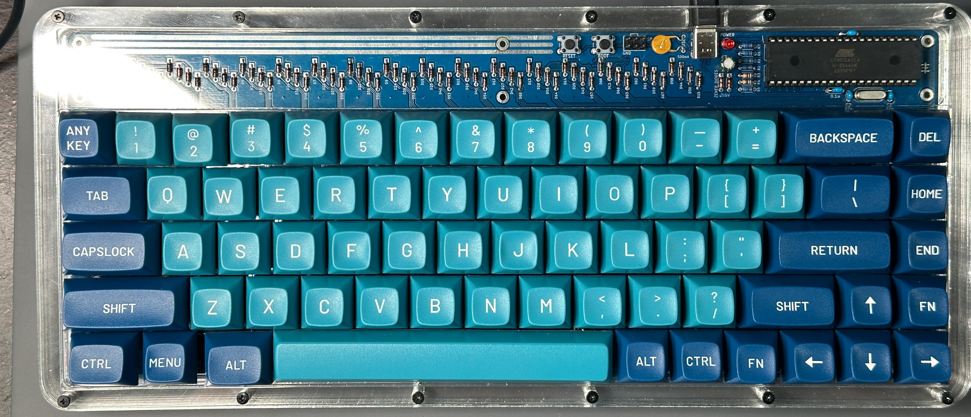 Discipline65