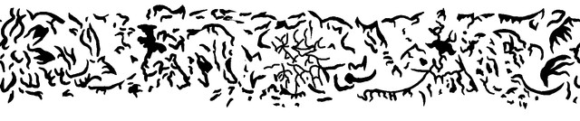 155.jpg