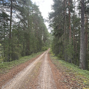 IMG 4569