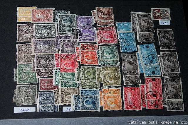 IMG-6984.jpg