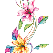 1780d8573d72871ff4a9a4c339cfd6b4