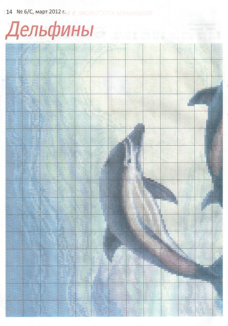 scan-14