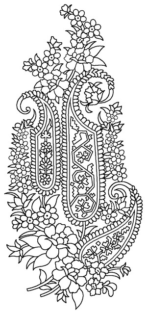 14 C.jpg