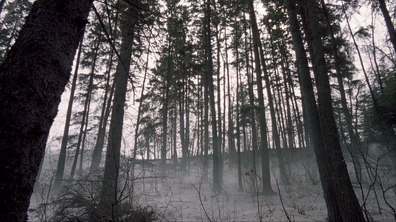 Ginger Snaps 2: Unleashed - Deleted Scenes Screenshot