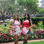 IMG 5271