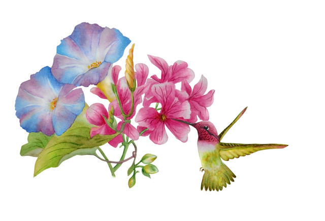 shutterstock 1380783440.jpg