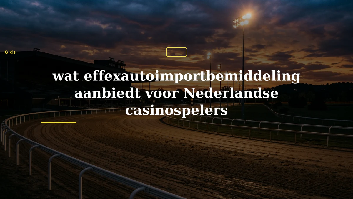 wat effexautoimportbemiddeling aanbiedt voor Nederlandse casinospelers
