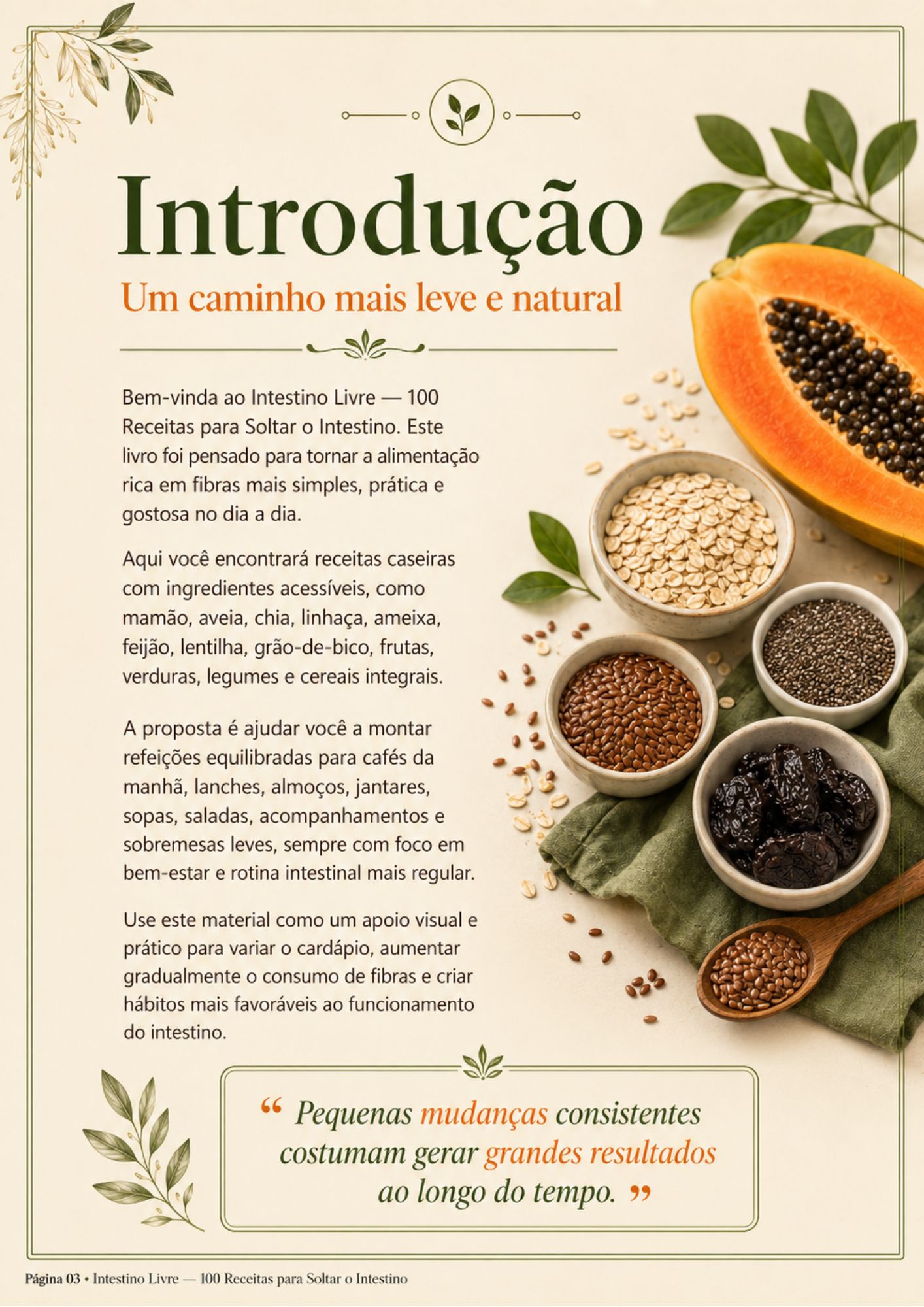 Prévia interna 01